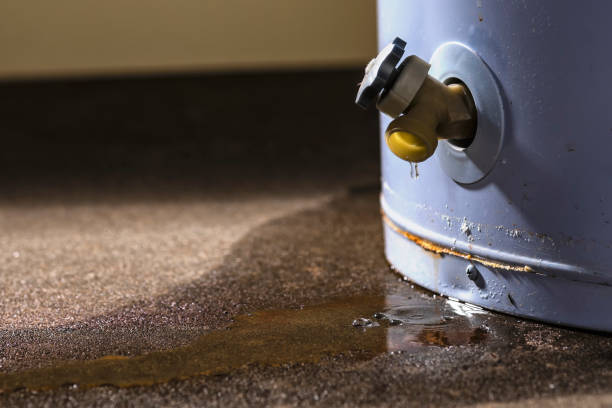 Best Mold removal after water damage  in Sandoval, IL