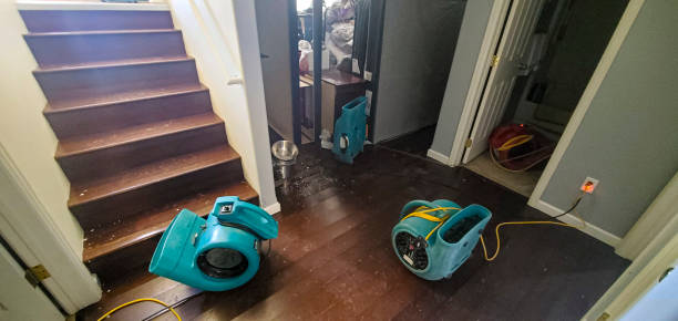 Best Emergency water damage restoration  in Sandoval, IL