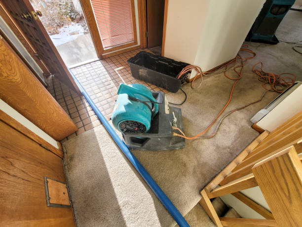 Best Water damage cleanup near me  in Sandoval, IL