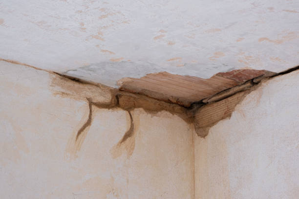 Best Professional water damage repair  in Sandoval, IL