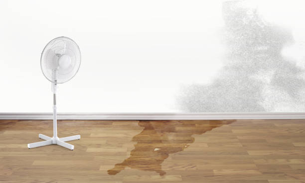 Best Flood restoration services  in Sandoval, IL