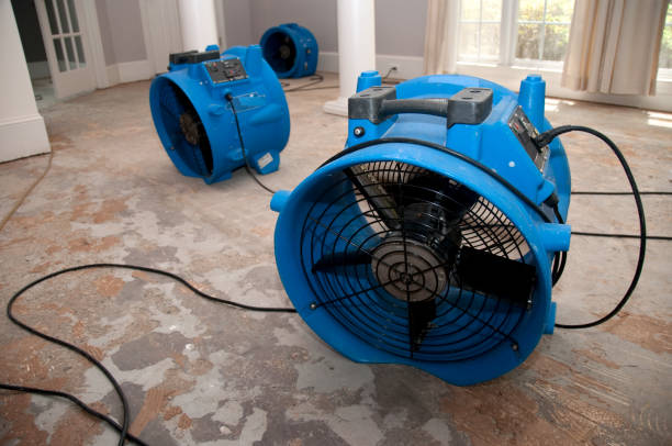 Best Fire Damage Restoration  in Sandoval, IL