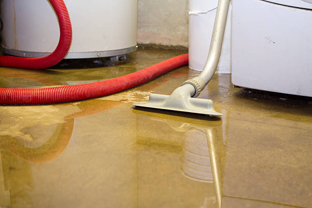 Best 24-hour water damage restoration  in Sandoval, IL