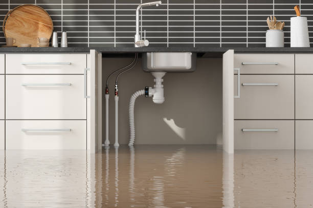 Best Carpet water damage restoration  in Sandoval, IL