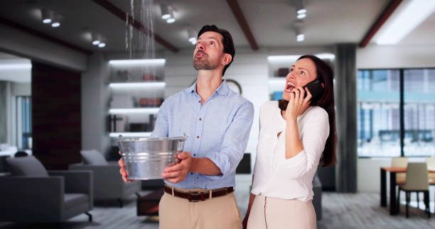 Best Ceiling water damage repair  in Sandoval, IL