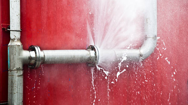 Best Flood damage cleanup  in Sandoval, IL
